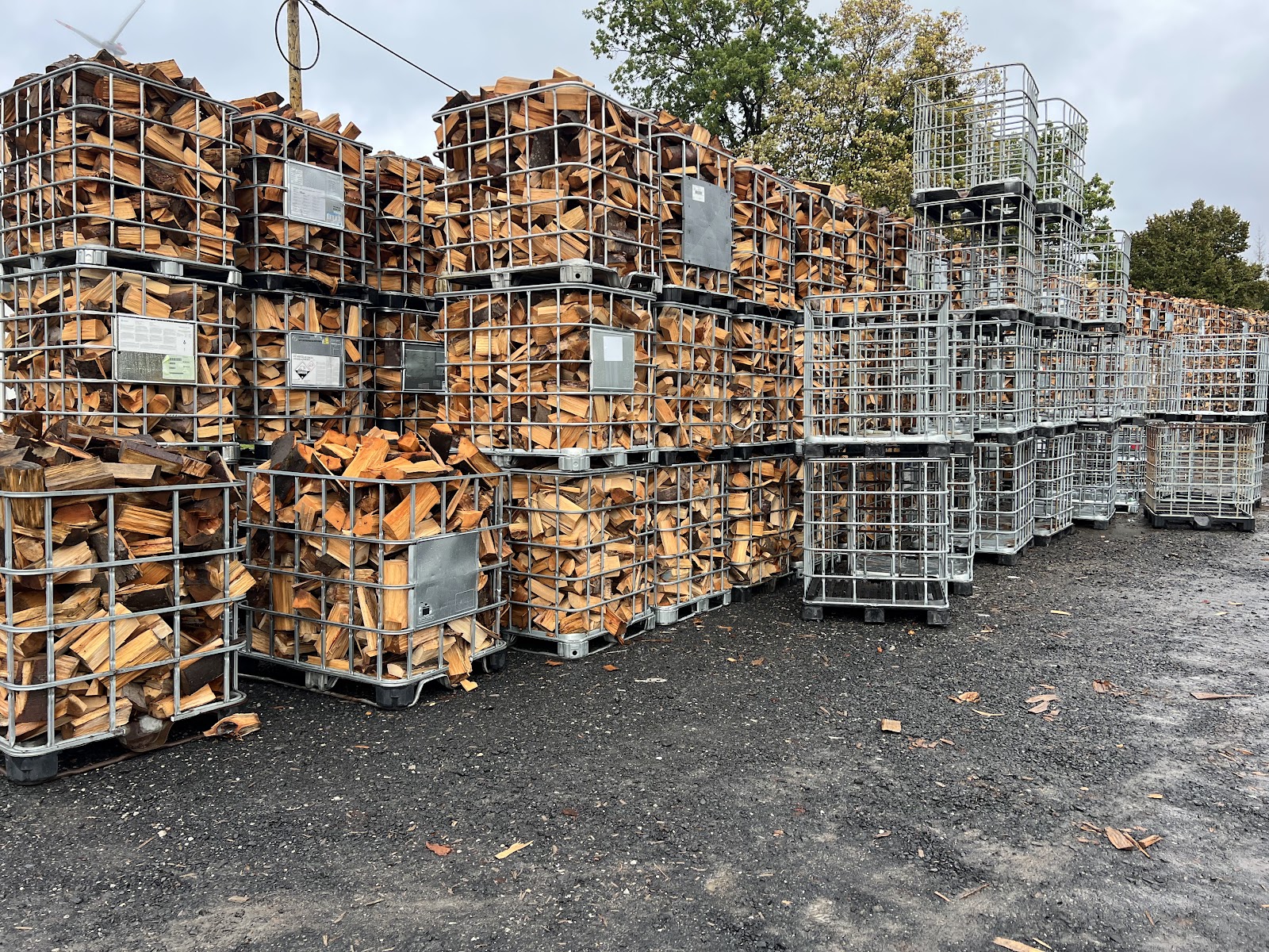 Holzplatz mit Gitterboxen voll Buche in Hessisch Lichtenau